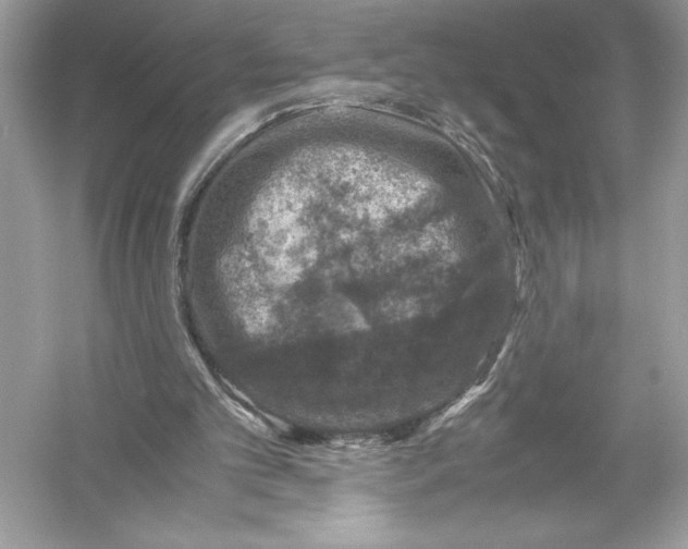 X0000051880101200507222000