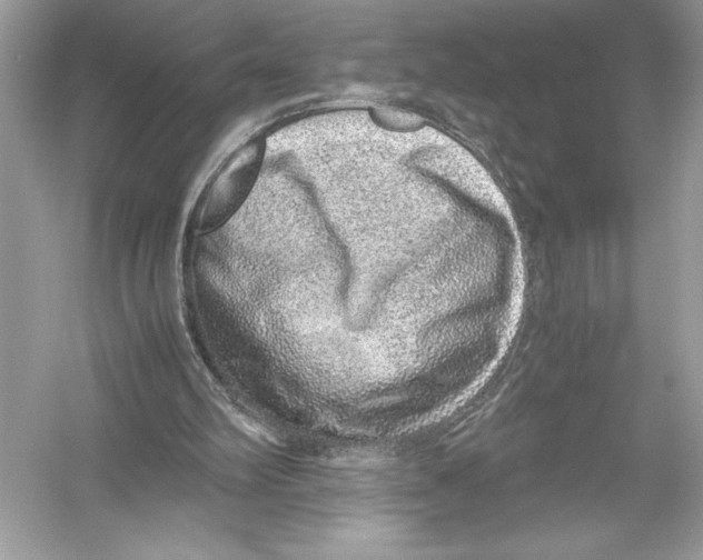 X0000051880102200507222000