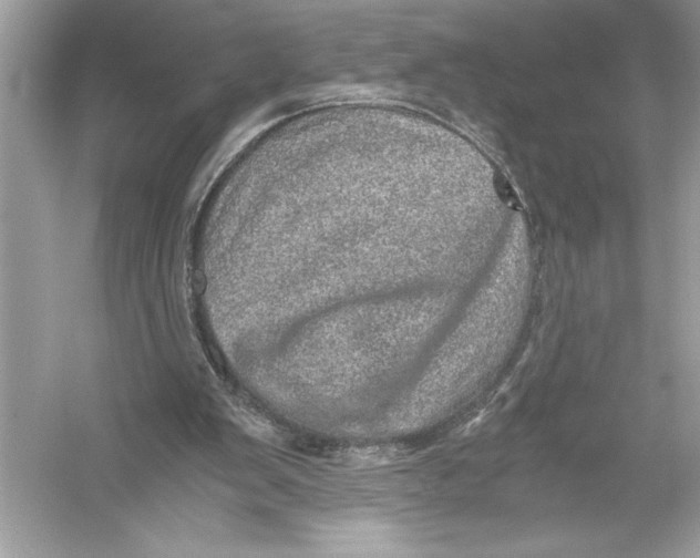 X0000051880103200507222000