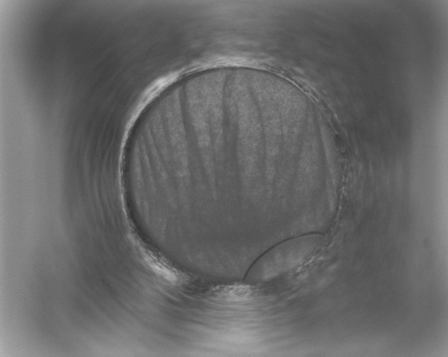 X0000051880104200507222000