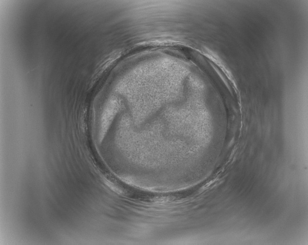 X0000051880105200507222000