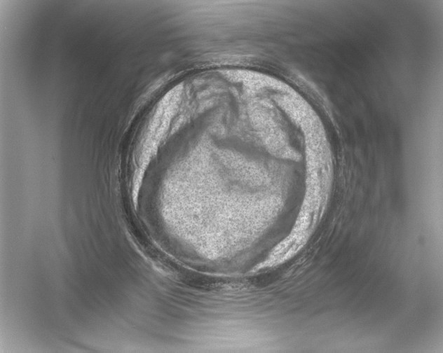 X0000051880107200507222000