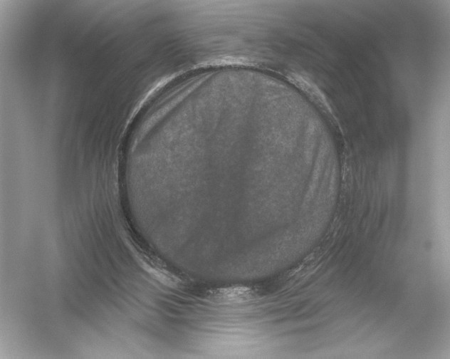 X0000051880108200507222000