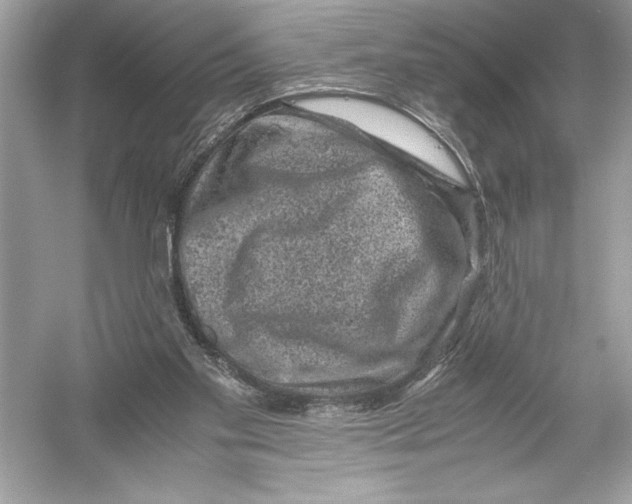 X0000051880109200507222000