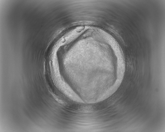 X0000051880110200507222000