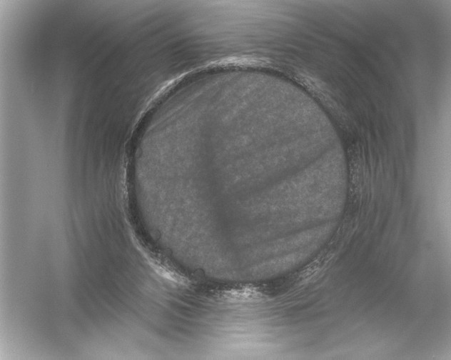 X0000051880112200507222000