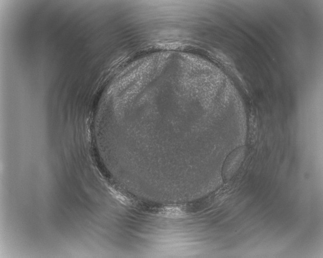 X0000051880114200507222000