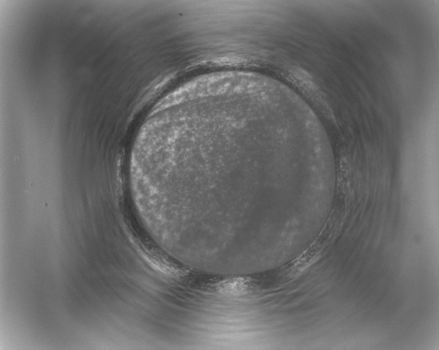 X0000051880116200507222000