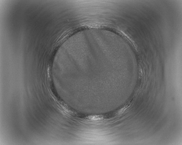 X0000051880117200507222000