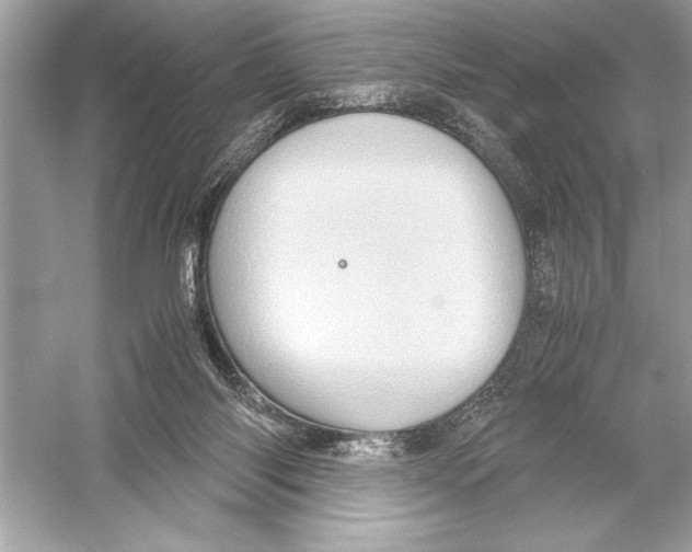 X0000051880118200507222000