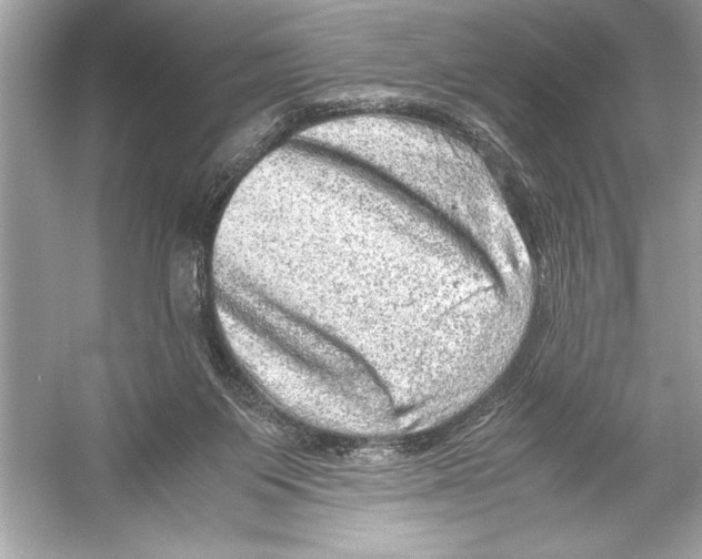 X0000051880119200507222000