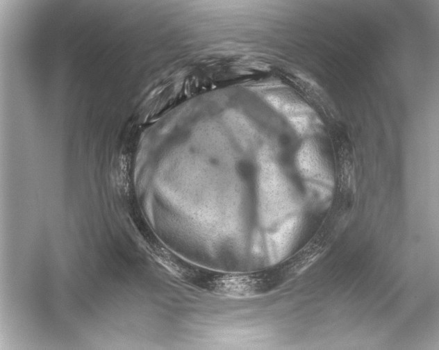 X0000051880121200507222000