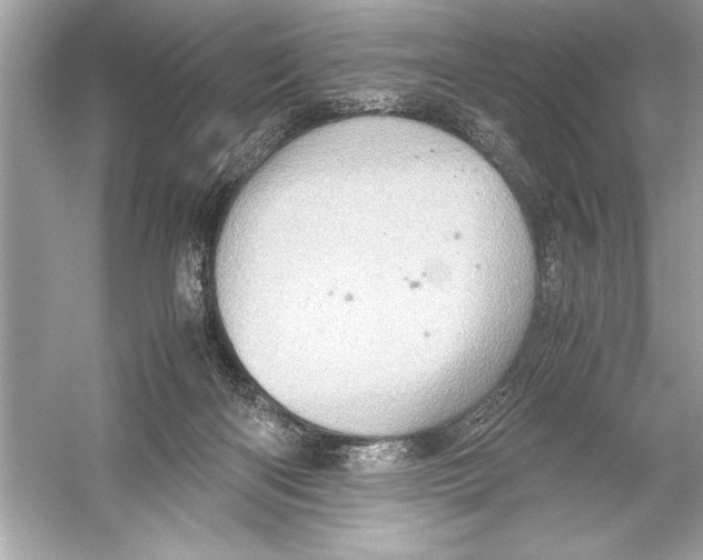 X0000051880122200507222000