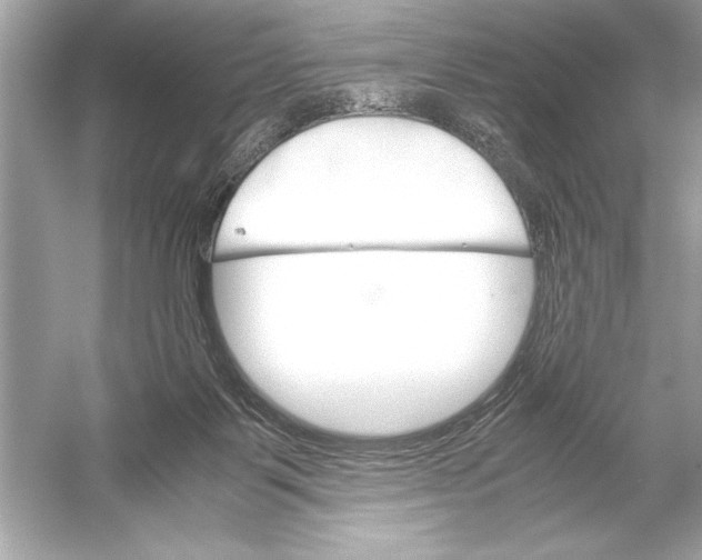 X0000051880123200507222000