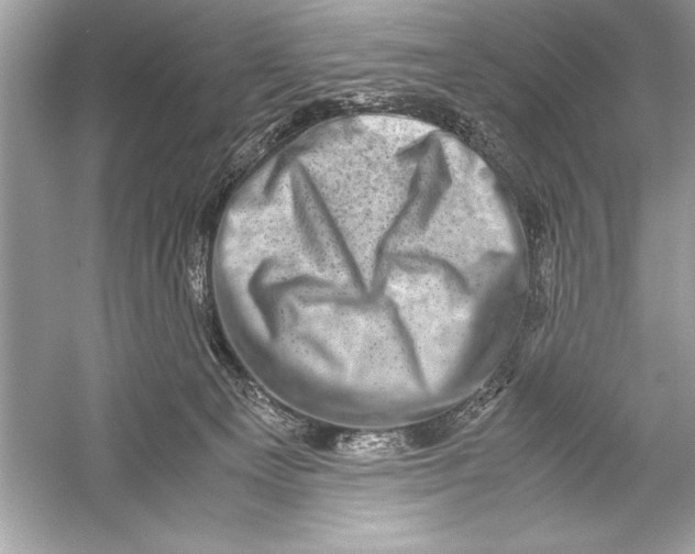 X0000051880129200507221959