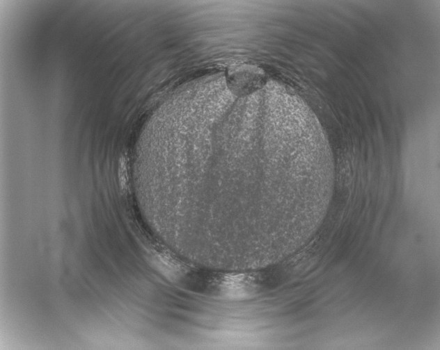 X0000051880130200507221959