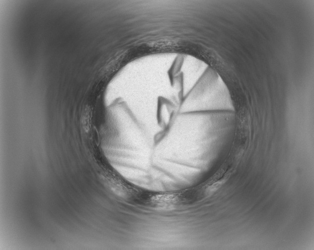 X0000051880133200507221959