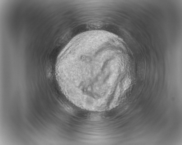 X0000051880134200507221959