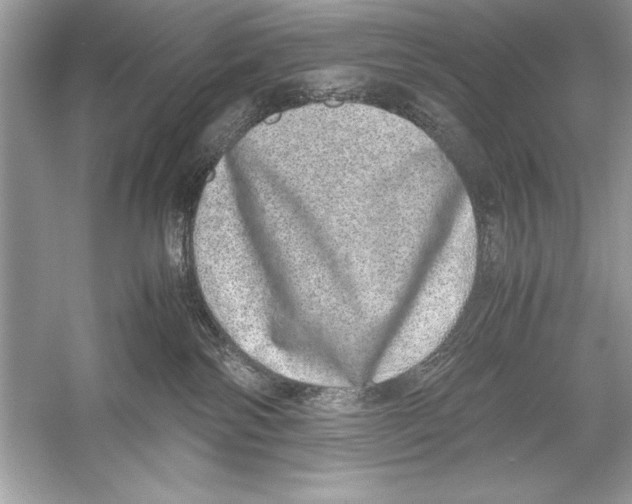 X0000051880138200507221959