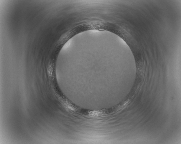 X0000051880139200507221959