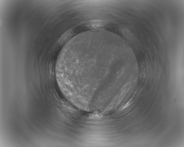 X0000051880140200507221959