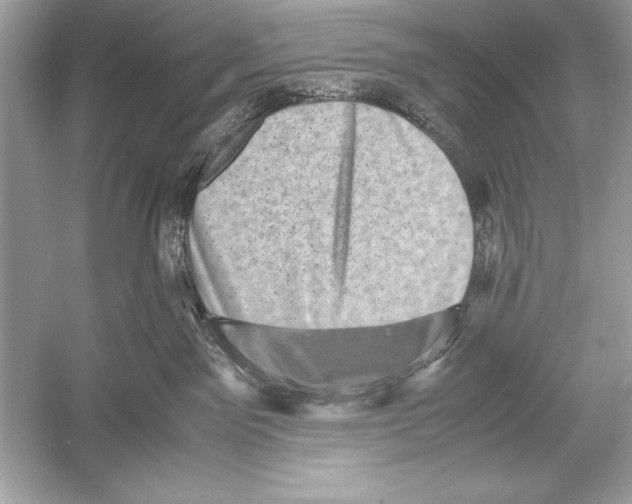 X0000051880141200507221959