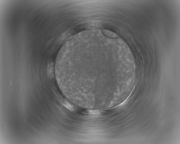 X0000051880144200507221959