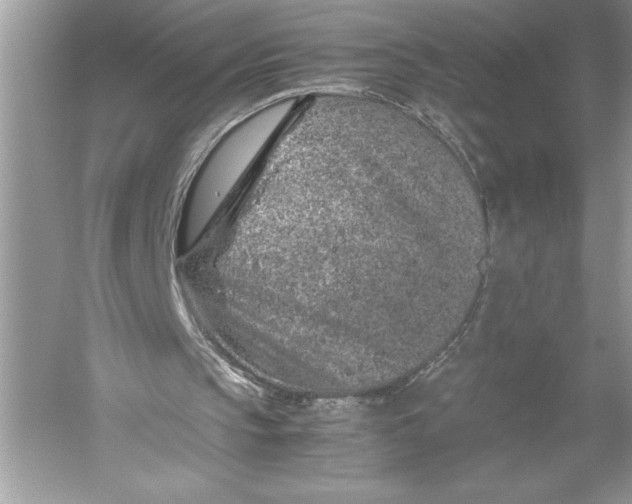 X0000051880145200507221958