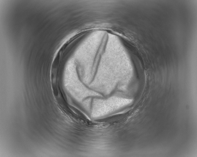 X0000051880148200507221958