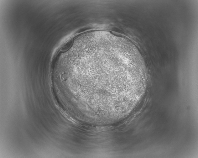 X0000051880149200507221958