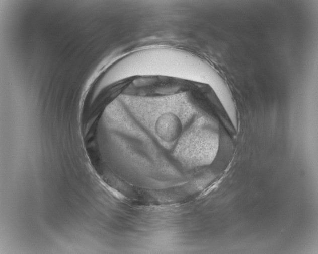 X0000051880150200507221958