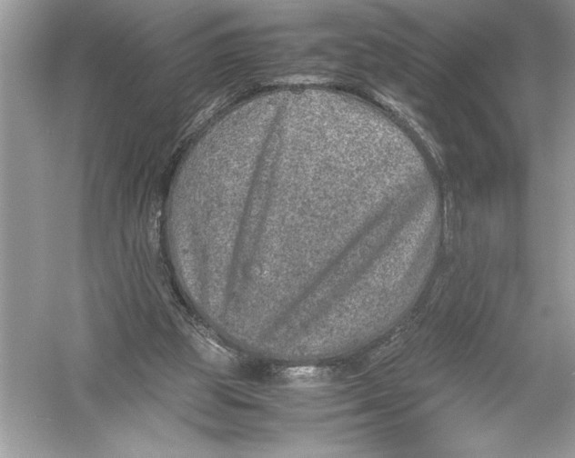 X0000051880153200507221958