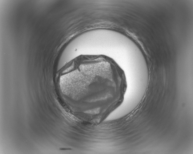 X0000051880154200507221958