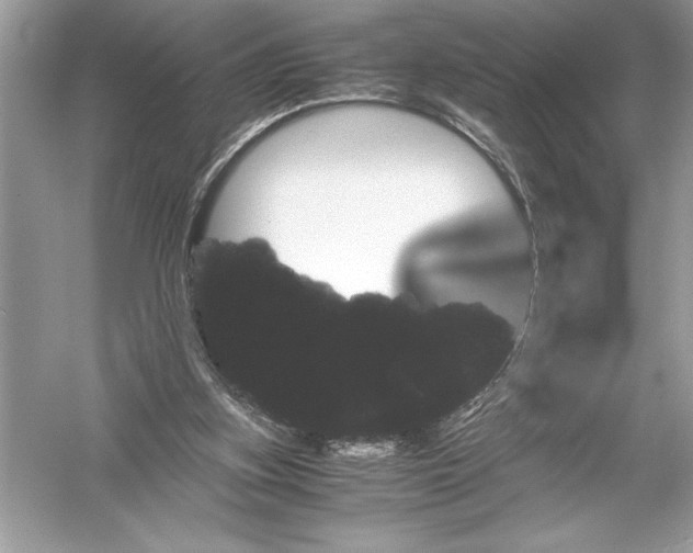 X0000051880155200507221959