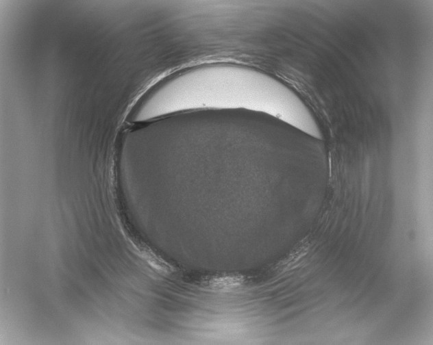 X0000051880156200507221959