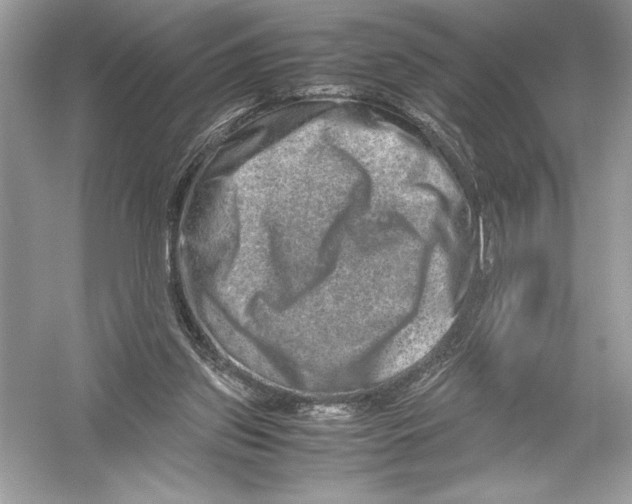 X0000051880157200507221959