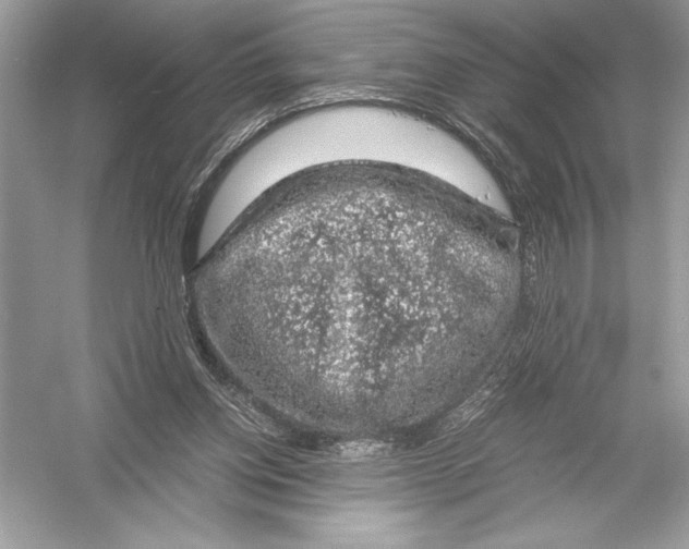 X0000051880158200507221959