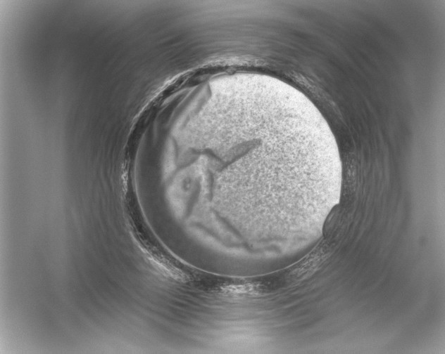 X0000051880160200507221959