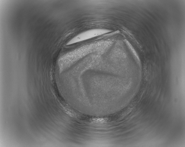 X0000051880161200507221959