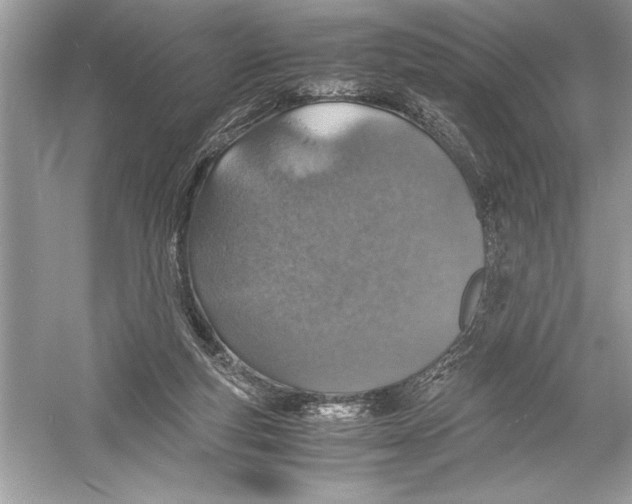 X0000051880163200507221959