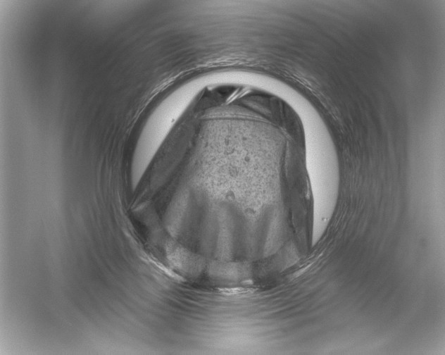 X0000051880164200507221959