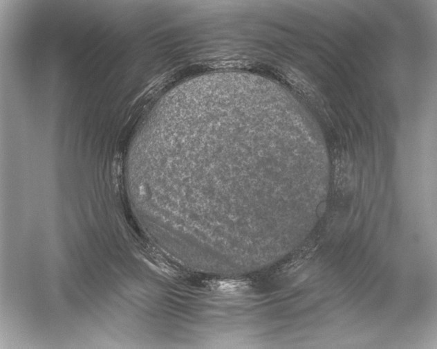 X0000051880165200507221959