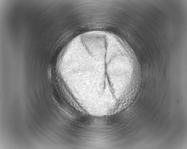 X0000051880166200507221959