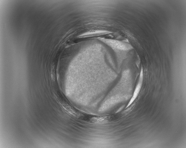 X0000051880170200507221959