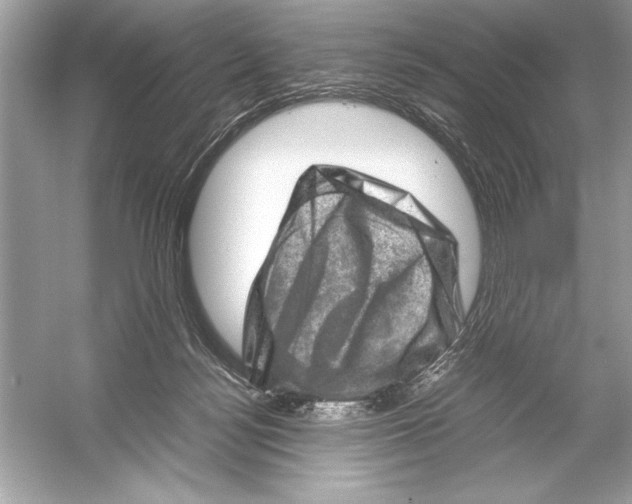 X0000051880172200507221959