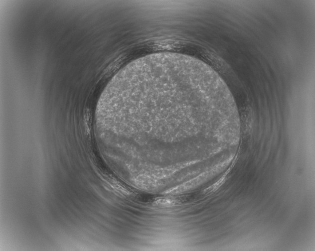 X0000051880174200507221959