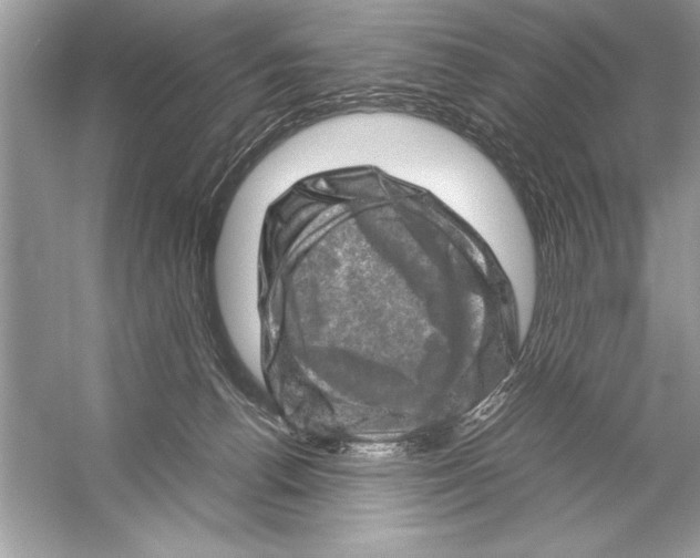 X0000051880176200507221959