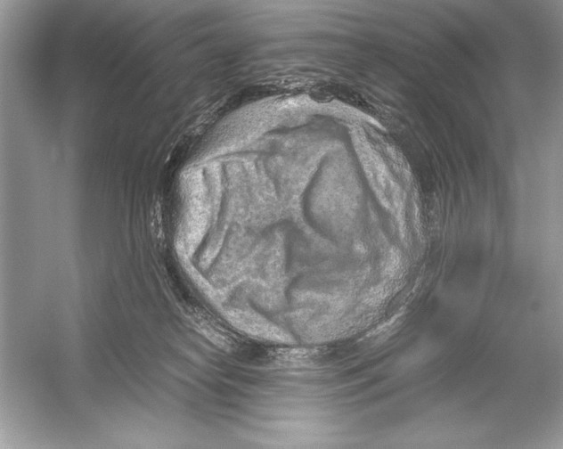 X0000051880182200507221959