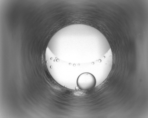 X0000051880183200507221959