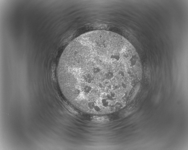 X0000051880185200507221959